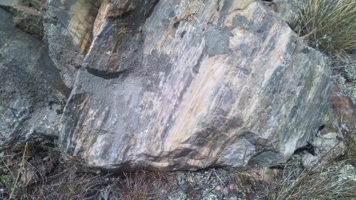 Гигантские зелёные валуны для ландшафтного дизайна весом более 5 тонн купить в Искитиме