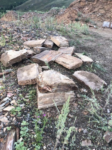 Плитняк кора дерева 50-100мм для пошаговых дорожек купить в Искитиме