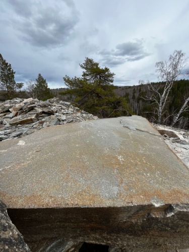 пошаговая дорожка плиты